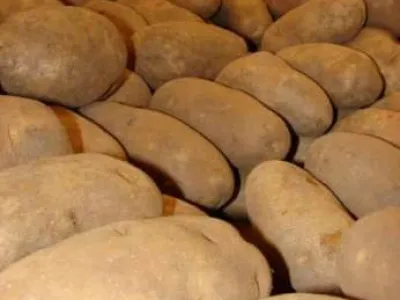 brambory v kvalitě bio větší množství rozvoz od jednoho pytle