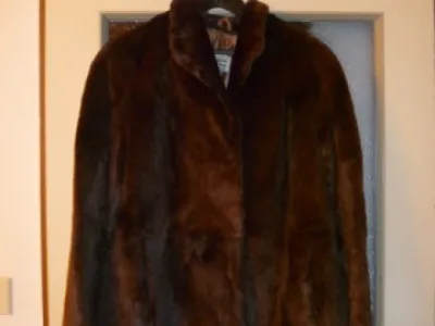 Paleno z králíka