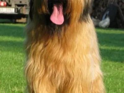 Mělník