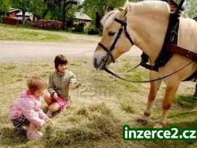 Jezdecký tábor pro děti 8 - 15 let