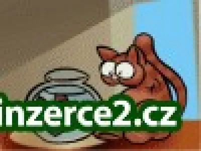 Pracujte z domova