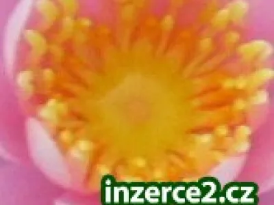 Solidní přívydělek,bez poplatků!