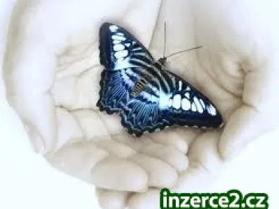 Neumíš si vybrat TO SPRÁVNÉ?