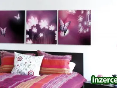 Přivýdělek nebo hlavní příjem...? Zkuste to...