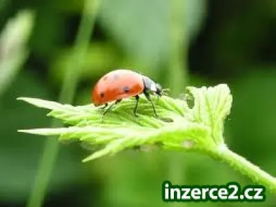 Dnešek je přímo stvořený pro začátek !