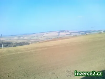 Nabídka orné půdy v Rakvicích