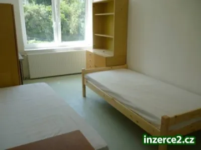 Pronajmu pokoje studentům Brno Kohoutovice