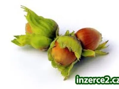 Bojíte se snít ?