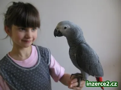 Náhled