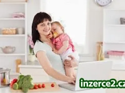Práce po internetu