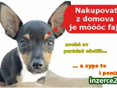 Hledáte přivýdělek??
