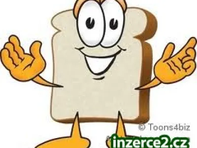 Slušný domácí výdělek