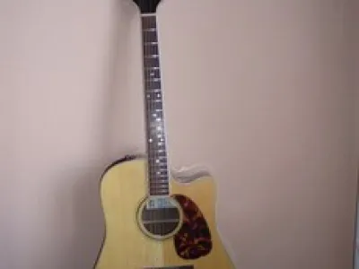 takamine