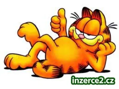Peníze z domova