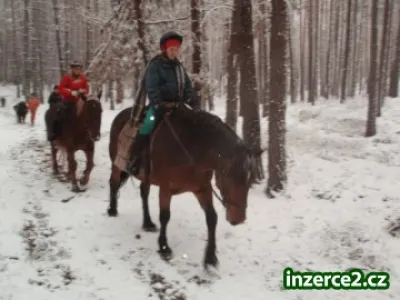 Jarní prázdniny u koní v roce 2013