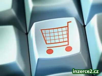 Podnikání na internetu