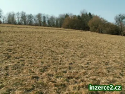 Prodej pozemku 150 Kč/m2 v Letohradu