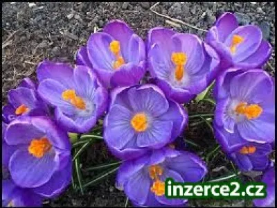 Práce,kterou neodmítnete-celá ČR