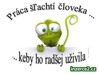 DOMÁCÍ PODNIKÁNÍ
