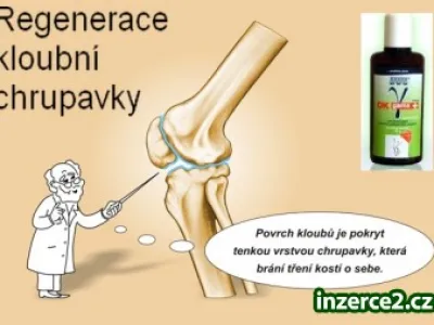 Pro zdravou KLOUBNÍ CHRUPAVKU. Nebudete litovat