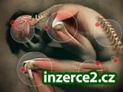 Chronické bolesti