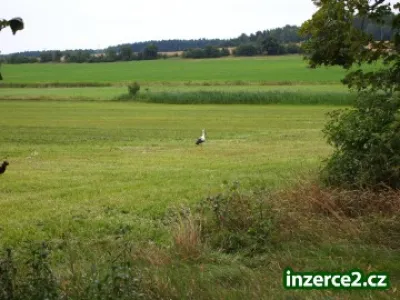 Zahradnické služby sekání trávy Rokycany