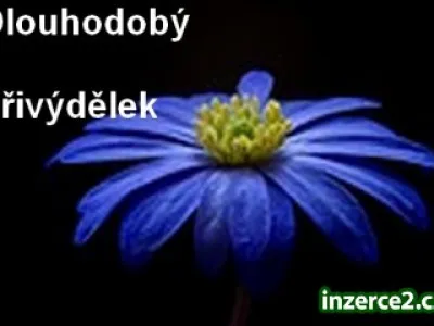 Dlouhodobý přivýdělek