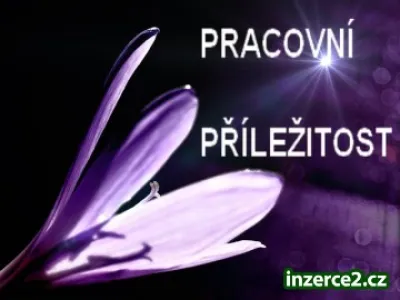 Pracovní příležitost