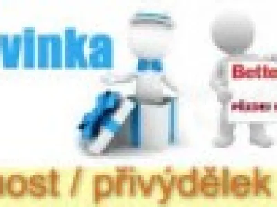 Přivýdělek