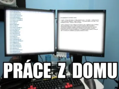 Práce přes internet