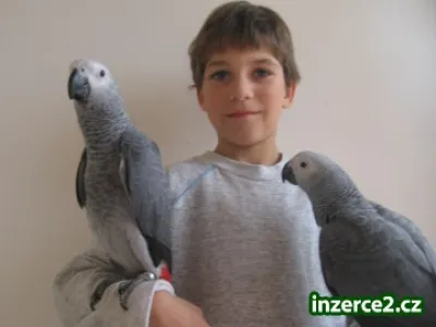 Náhled