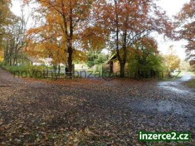 Samota u Plzně - vhodné k chovu koní
