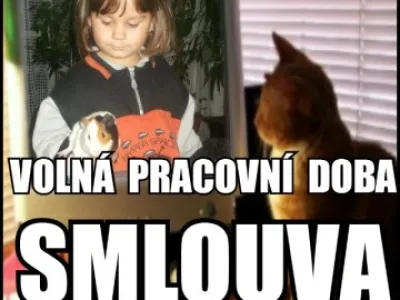 Nabídka spolupráce