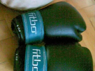 Prodám menší boxovací pytel a dvoje boxerské rukavice