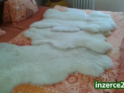 Prodám ovčí kůže