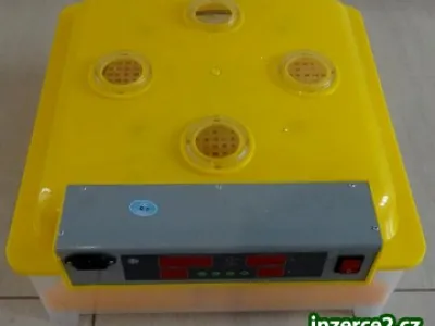 Automatická digitální líheň