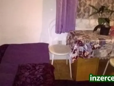Pronájem zař. místn. v klidné Plzeňské lokalitě