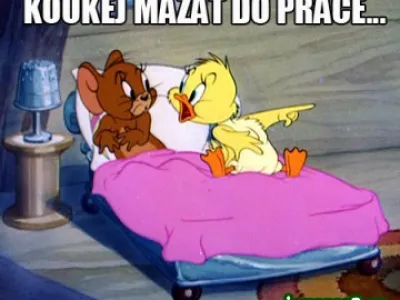 Obsluha vysekávacích a ohýbacích lisů