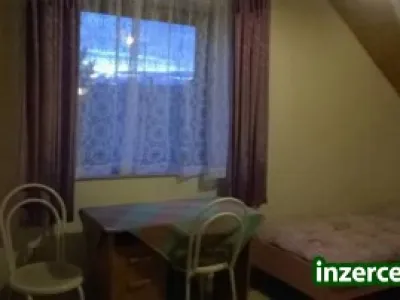 Pronájem v zaříz. podkr. místn. - Plzeň