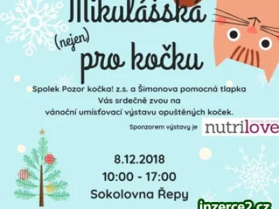 Umísťovací výstava koček v Řepích