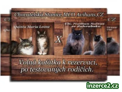 Chovatelská stanice MCO Avihans,CZ