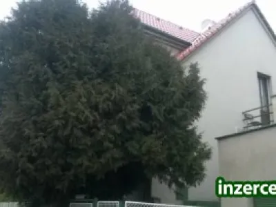 Nabízím pronájem bez realitky a kauce - Plzeň