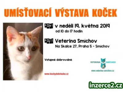 Umísťovací výstava koček v Praze 5