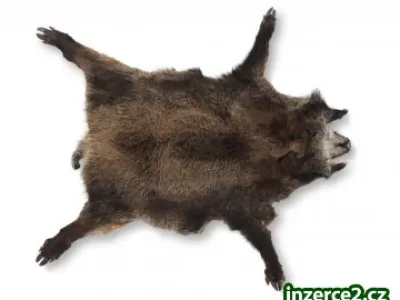 Dekorativní kožešina z divočáka