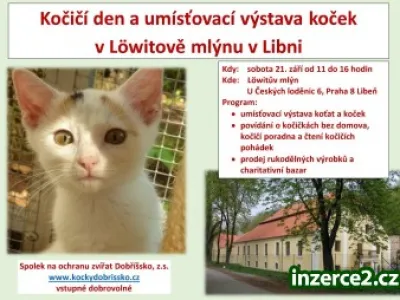 Umísťovací výstava koťat a koček v Libni